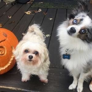 Meet your Posher, Jaiden